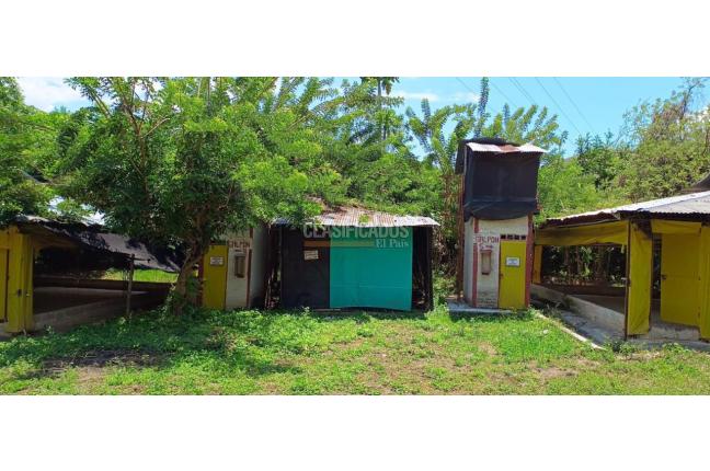 Lotes, Venta, Yotoco - $800.000.000