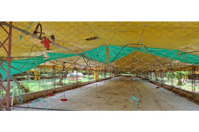 Lotes, Venta, Yotoco - $800.000.000