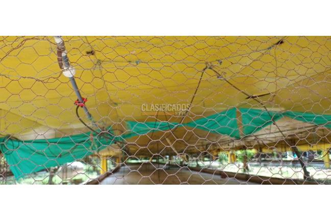 Lotes, Venta, Yotoco - $800.000.000