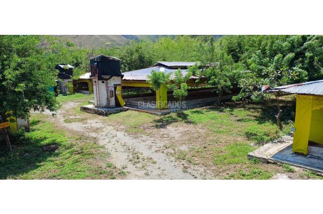 Lotes, Venta, Yotoco - $800.000.000