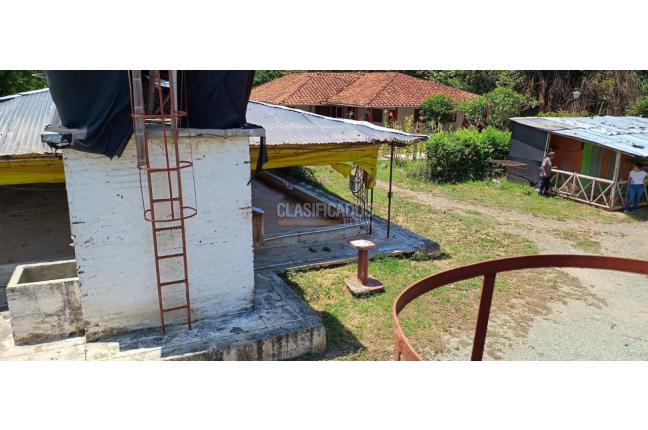 Lotes, Venta, Yotoco - $800.000.000