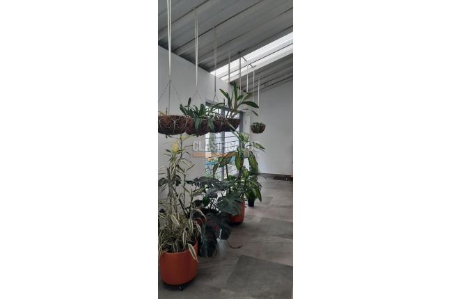 Casas, Alquiler, San Fernando - $7.800.000