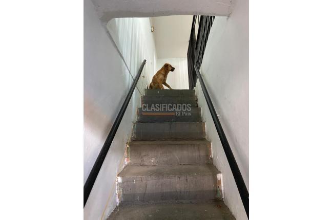 Casas, Venta, Alfonso López - $380.000.000