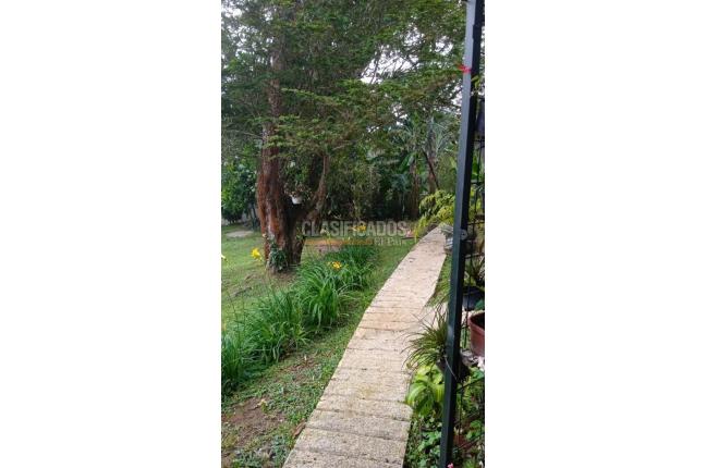 Fincas y Casas Campestres, Venta en Felidia