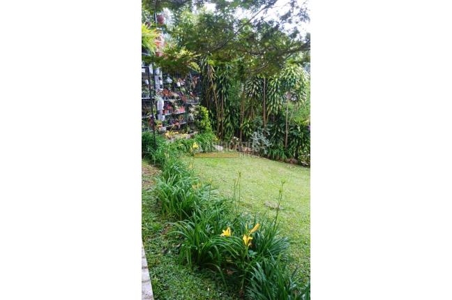 Fincas y Casas Campestres, Venta en Felidia