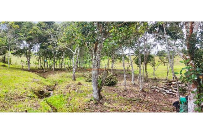 Lotes, Venta en Dagua