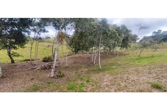 Lotes, Venta, Dagua - $190.000.000