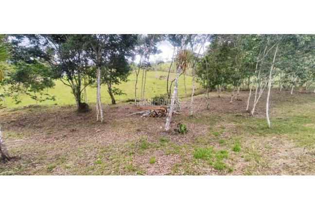 Lotes, Venta en Dagua