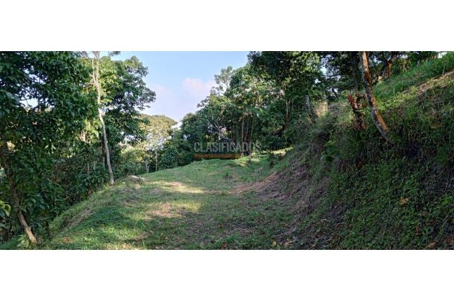 Lotes, Venta en Dapa