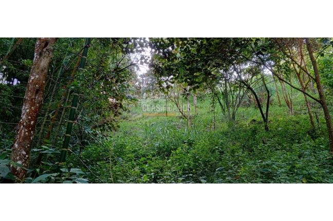 Lotes, Venta en Dapa