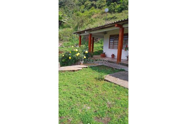 Fincas y Casas Campestres, Venta, La Elvira - $290.000.000