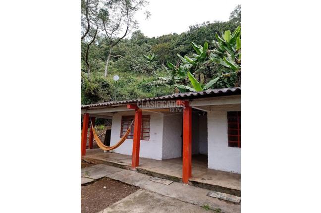 Fincas y Casas Campestres, Venta, La Elvira - $290.000.000