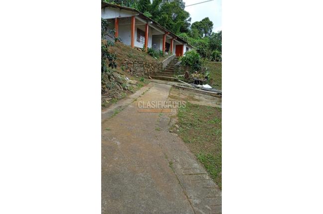 Fincas y Casas Campestres, Venta, La Elvira - $290.000.000