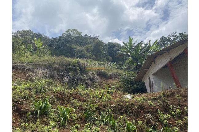 Fincas y Casas Campestres, Venta, La Elvira - $290.000.000