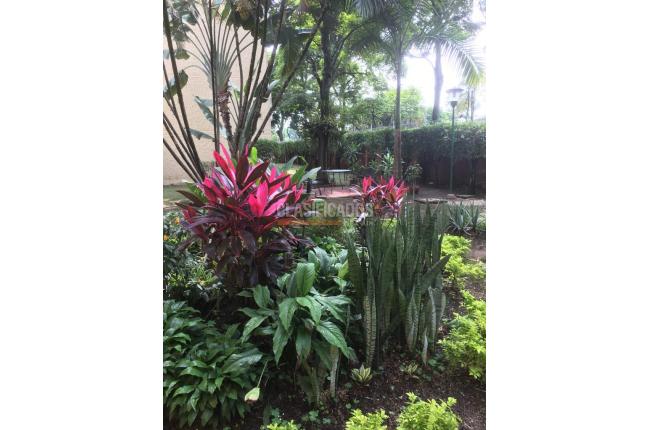 Apartamentos, Venta, Pacará - $270.000.000