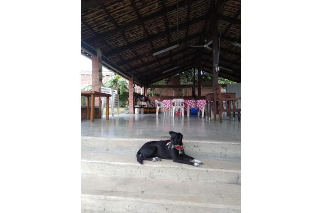 Fincas y Casas Campestres, Venta, Ginebra - $650.000.000