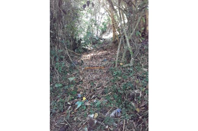 Fincas y Casas Campestres, Venta, Dagua - $500.000.000