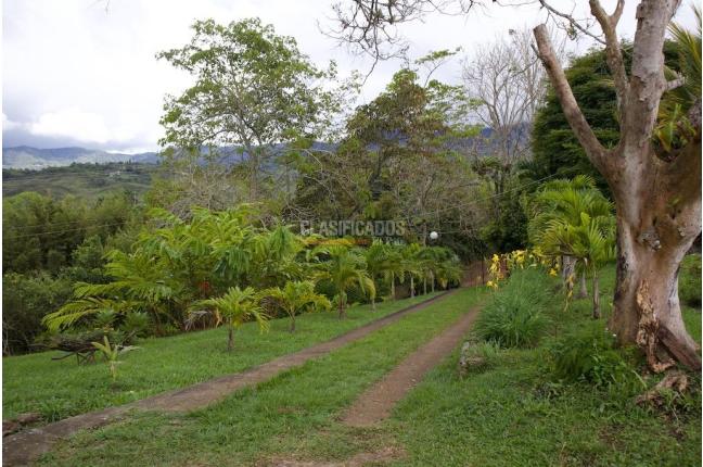 Fincas y Casas Campestres, Venta, Dagua - $500.000.000