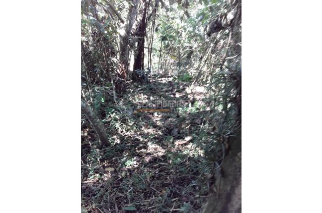 Fincas y Casas Campestres, Venta, Dagua - $500.000.000