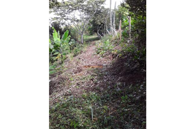 Fincas y Casas Campestres, Venta, Dagua - $500.000.000