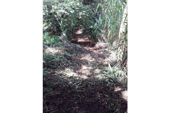 Fincas y Casas Campestres, Venta, Dagua - $500.000.000