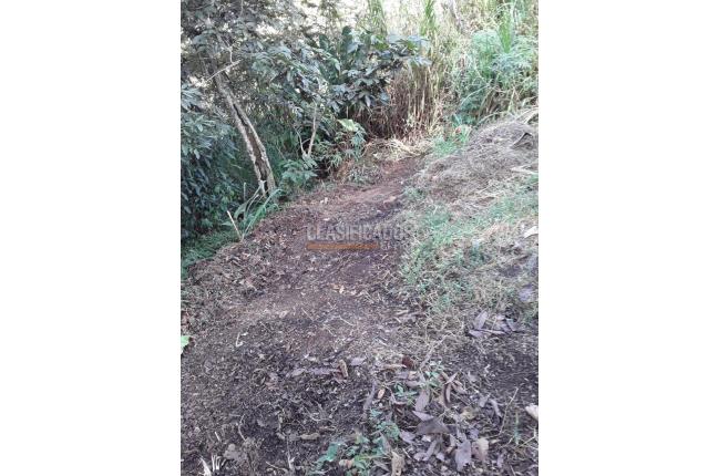 Fincas y Casas Campestres, Venta, Dagua - $500.000.000