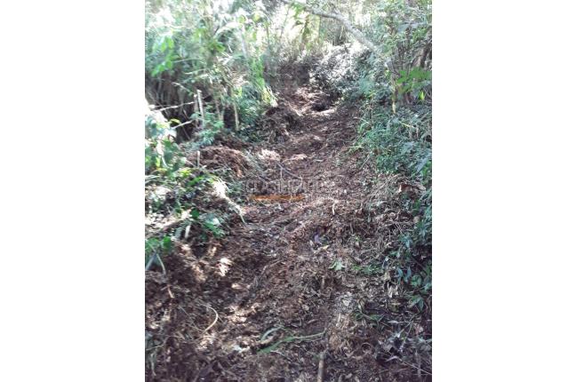 Fincas y Casas Campestres, Venta, Dagua - $500.000.000