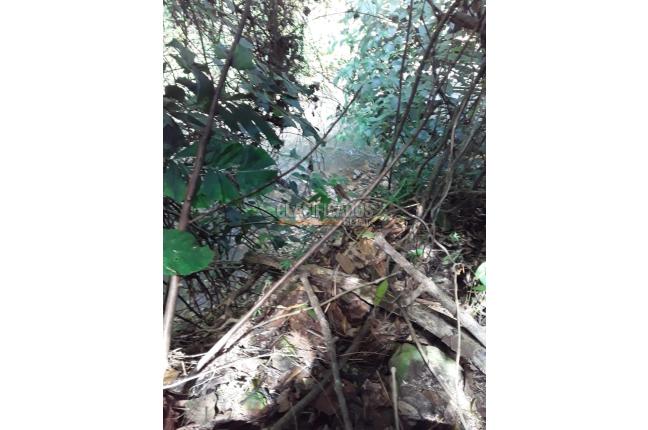 Fincas y Casas Campestres, Venta, Dagua - $500.000.000