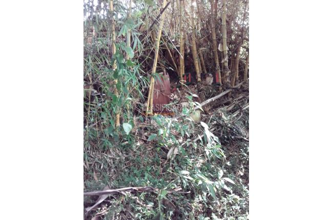 Fincas y Casas Campestres, Venta, Dagua - $500.000.000