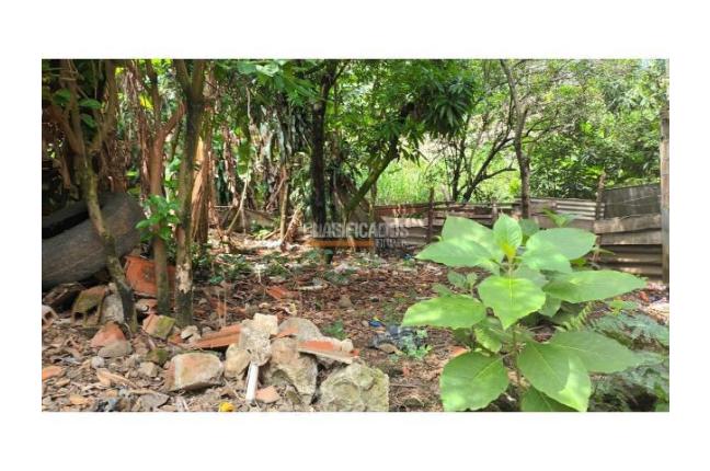 Casas, Venta, Aguacatal - $280.000.000