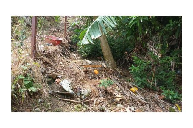 Casas, Venta, Aguacatal - $280.000.000