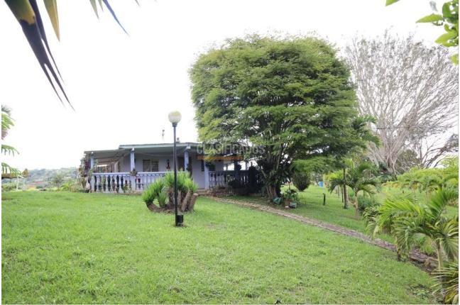 Fincas y Casas Campestres, Venta, Dagua - $500.000.000