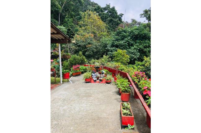 Fincas y Casas Campestres, Venta en Yumbo