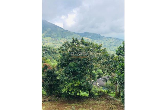 Fincas y Casas Campestres, Venta, Yumbo - $700.000.000