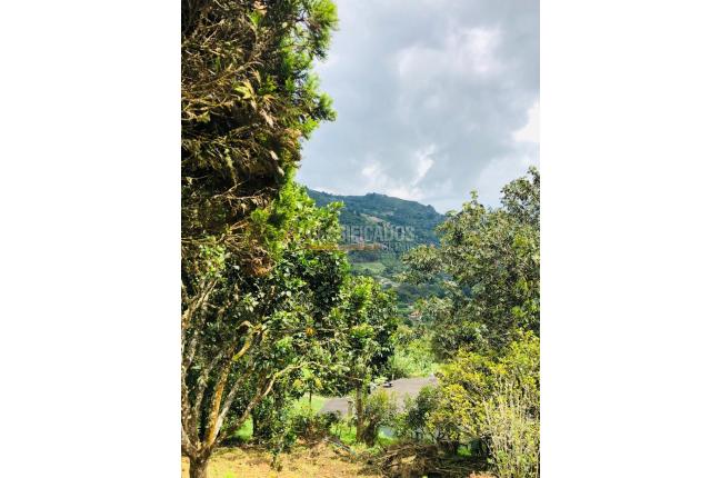 Fincas y Casas Campestres, Venta, Yumbo - $700.000.000