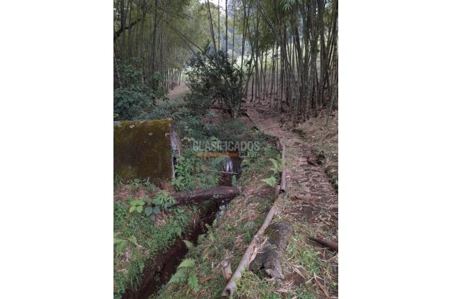 Fincas y Casas Campestres, Venta, Los Andes - $2.300.000.000