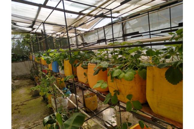 Fincas y Casas Campestres, Venta, Villa de Leyva - $1.950.000.000