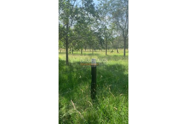 Fincas y Casas Campestres, Venta, Villa de Leyva - $1.950.000.000