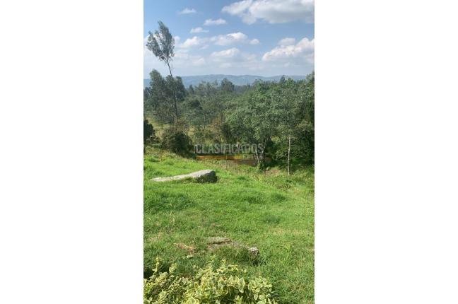 Fincas y Casas Campestres, Venta, Villa de Leyva - $1.950.000.000