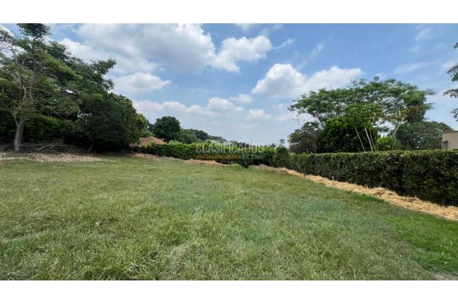 Lotes, Venta en Pance