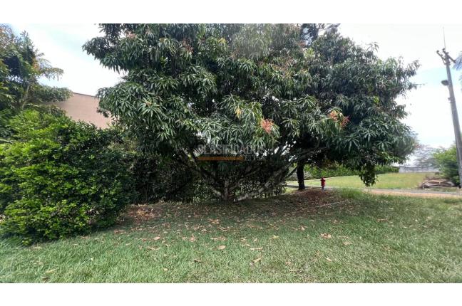 Lotes, Venta en Pance