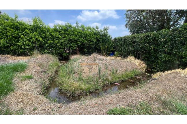 Lotes, Venta, Pance - $1.650.000.000