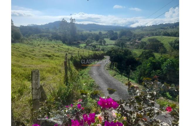 Fincas y Casas Campestres, Venta, Calima (Darién) - $1.200.000.000