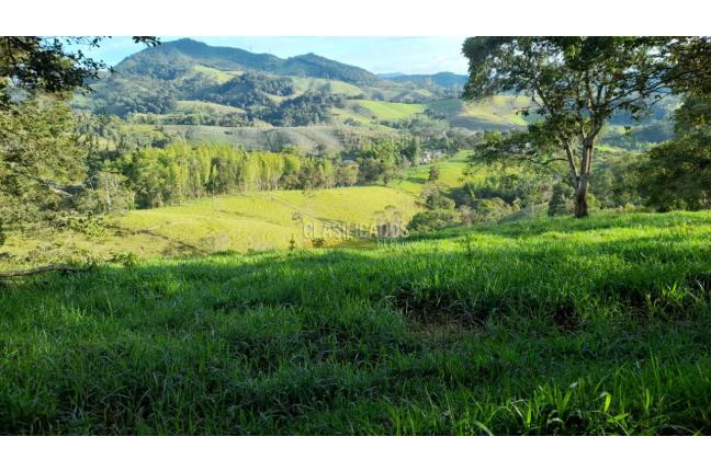 Fincas y Casas Campestres, Venta, Calima (Darién) - $1.200.000.000