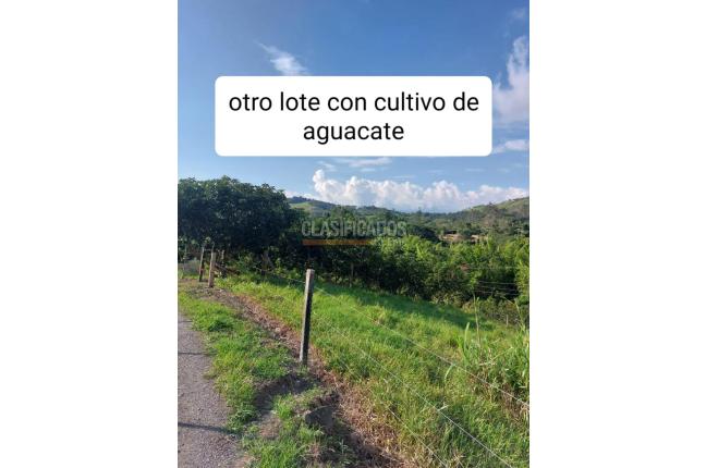 Fincas y Casas Campestres, Venta, Calima (Darién) - $1.200.000.000