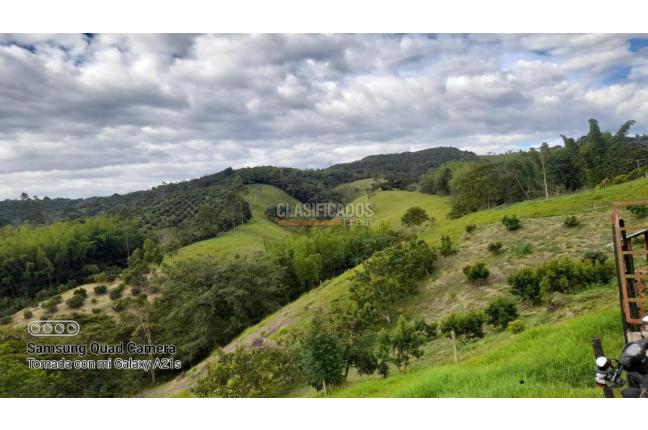 Fincas y Casas Campestres, Venta, Calima (Darién) - $1.200.000.000