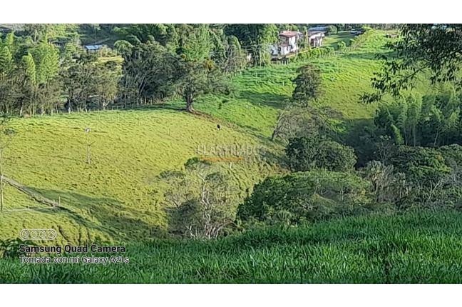 Fincas y Casas Campestres, Venta, Calima (Darién) - $1.200.000.000