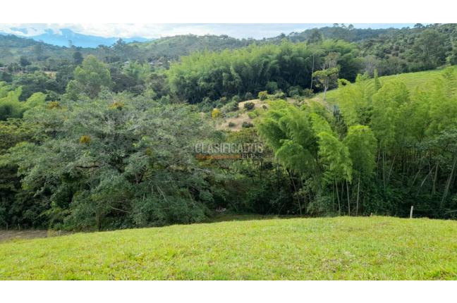 Fincas y Casas Campestres, Venta, Calima (Darién) - $1.200.000.000