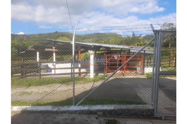 Fincas y Casas Campestres, Venta, Calima (Darién) - $1.200.000.000