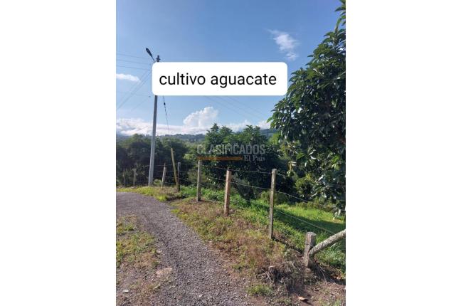 Fincas y Casas Campestres, Venta, Calima (Darién) - $1.200.000.000